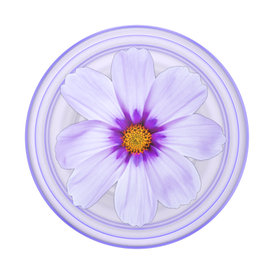 Secondary image for hover PlantCore Purple Cosmo