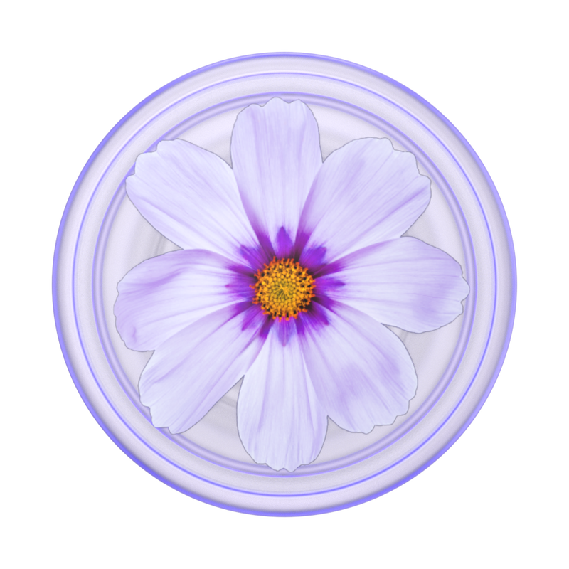 PlantCore Purple Cosmo image number 0