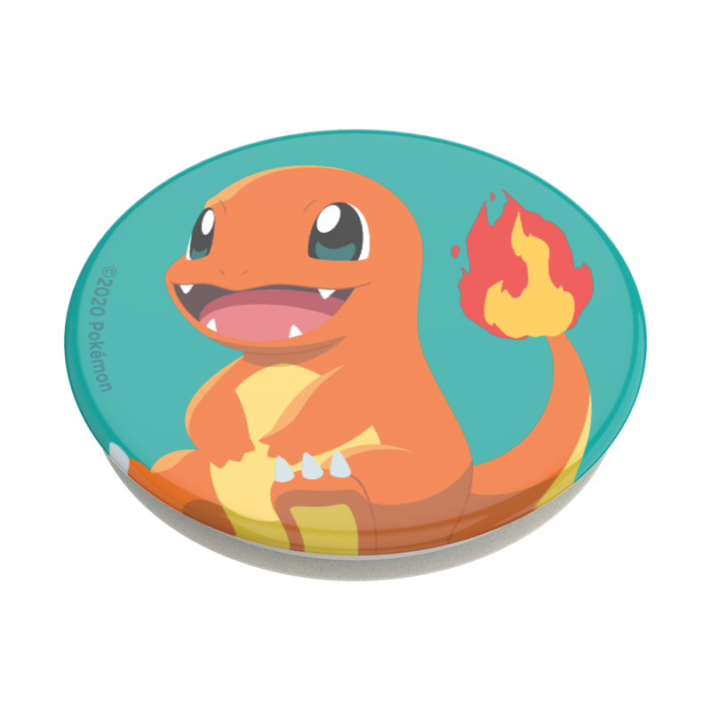 Charmander Knocked image number 2