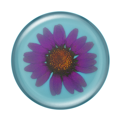 Pressed Flower Purply Daisy