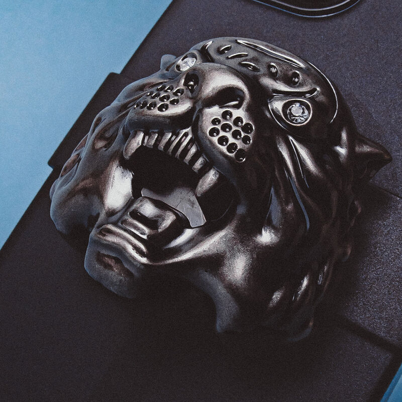 Tiger's Eye image number 1