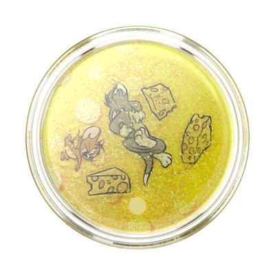 Secondary image for hover Tidepool Mouse Chase — Adhesive PopGrip
