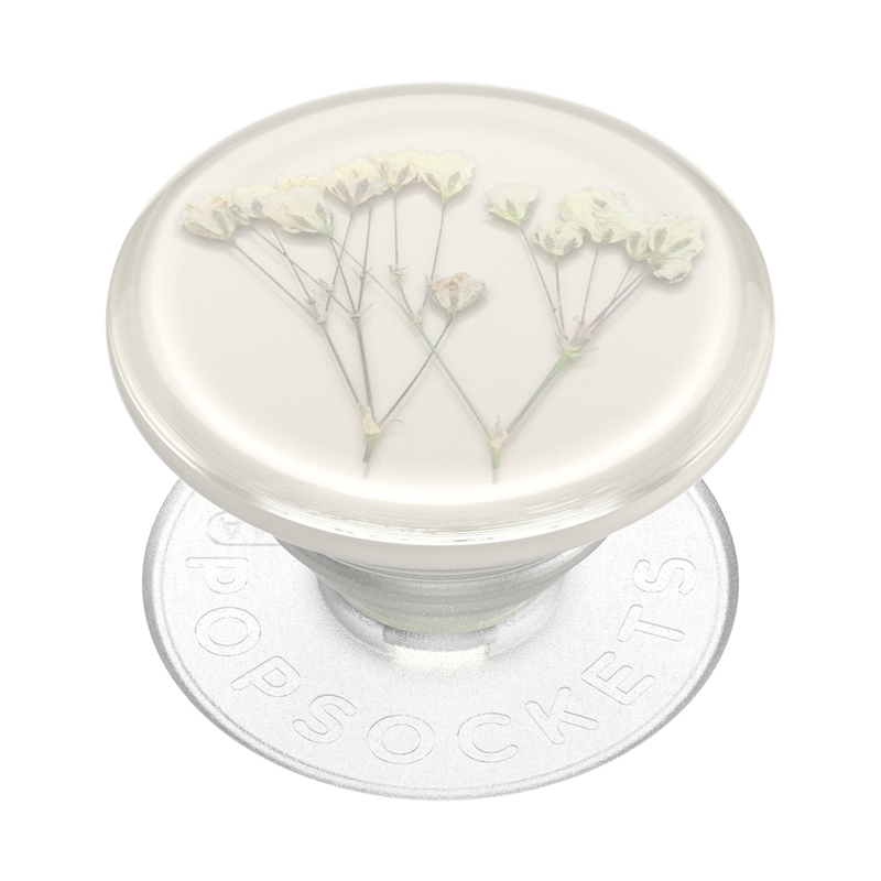 Pressed Flower Baby's Breath — Adhesive PopGrip image number 0