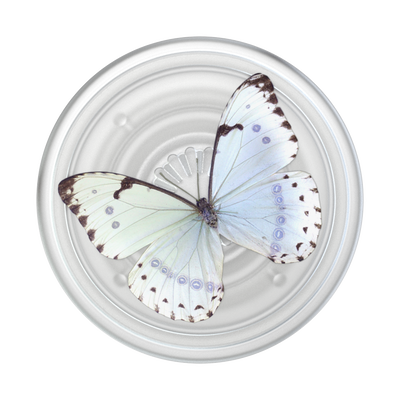 Secondary image for hover PlantCore Whisper Moth — Adhesive PopGrip