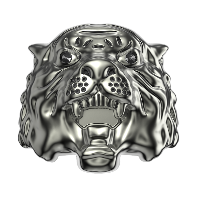 Tiger's Eye image number 0
